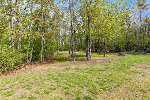 view of grassy yard