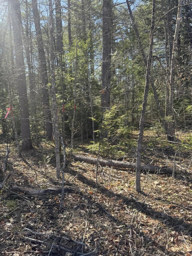 LOT31-H Old Waterford Rd, Lovell, ME 04051 - photo 1
