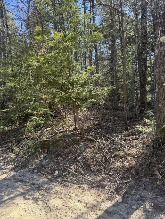 LOT31-H Old Waterford Rd, Lovell, ME 04051 - photo 8