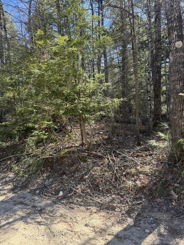 LOT31-H Old Waterford Rd, Lovell, ME 04051 - photo 11
