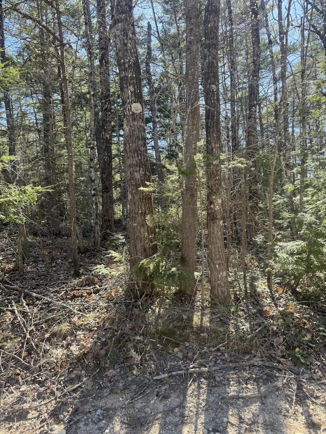 LOT31-H Old Waterford Rd, Lovell, ME 04051 - photo 6