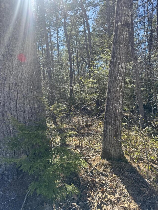 LOT31-H Old Waterford Rd, Lovell, ME 04051 - photo 7