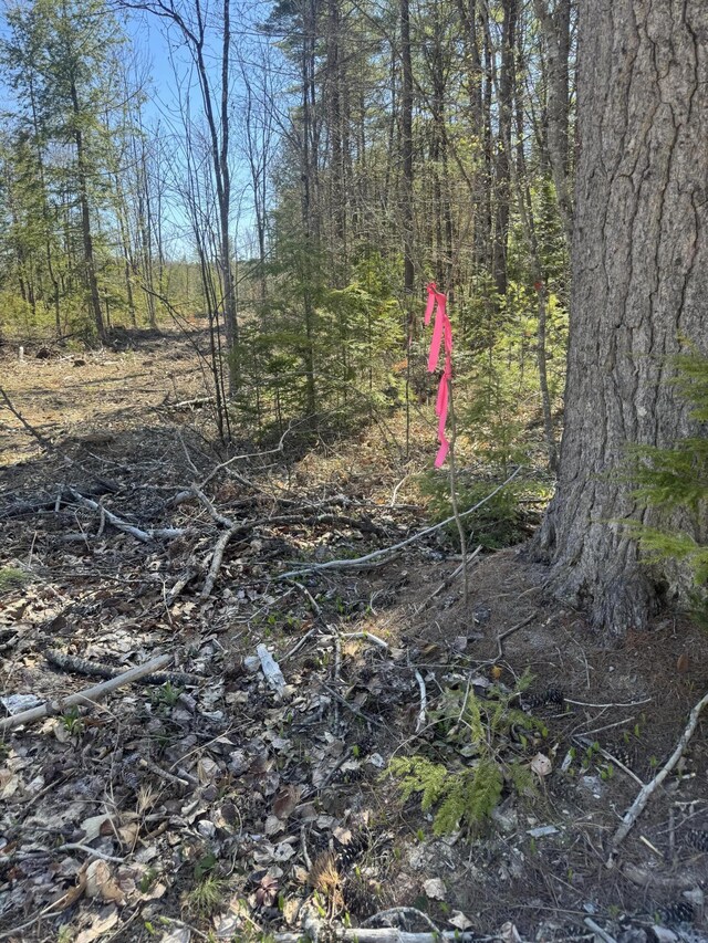LOT31-H Old Waterford Rd, Lovell, ME 04051 - photo 4