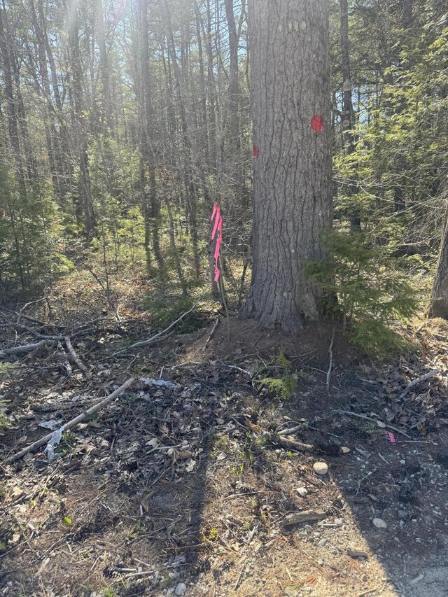 LOT31-H Old Waterford Rd, Lovell, ME 04051 - photo 5