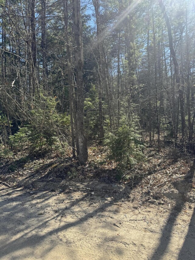 LOT31-H Old Waterford Rd, Lovell, ME 04051 - photo 12