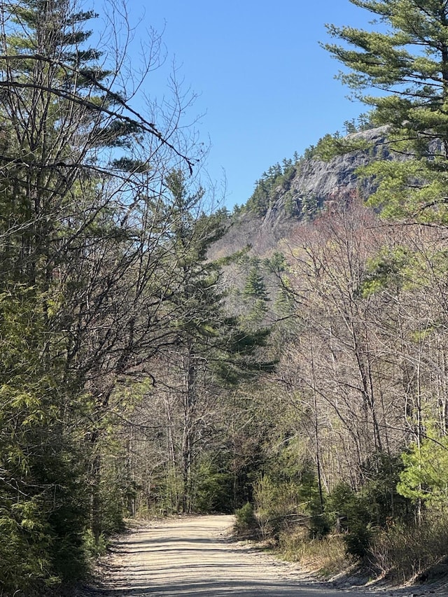 LOT31-H Old Waterford Rd, Lovell, ME 04051 - photo 3
