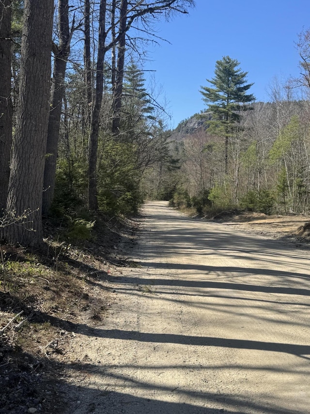 LOT31-H Old Waterford Rd, Lovell, ME 04051 - photo 2