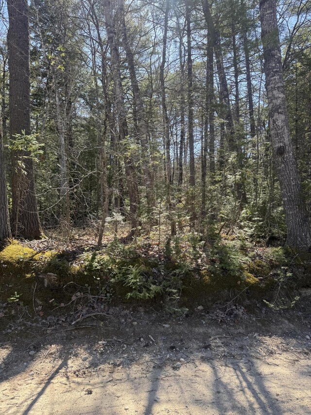 LOT31-H Old Waterford Rd, Lovell, ME 04051 - photo 9