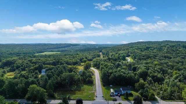 LOT3 Chase Ln, Lewiston, ME 04240 - aerial view of a forest