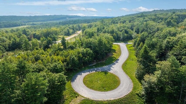 LOT3 Chase Ln, Lewiston, ME 04240 - drone / aerial view of a heavily wooded area