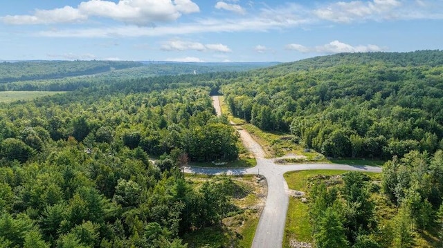 LOT3 Chase Ln, Lewiston, ME 04240 - view of property location with a heavily wooded area