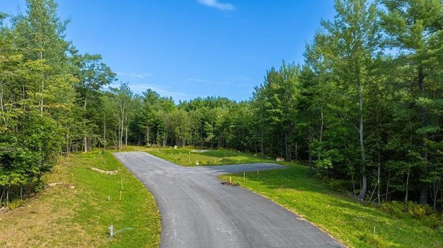 LOT3 Chase Ln, Lewiston, ME 04240 - view of asphalt road featuring a forest view