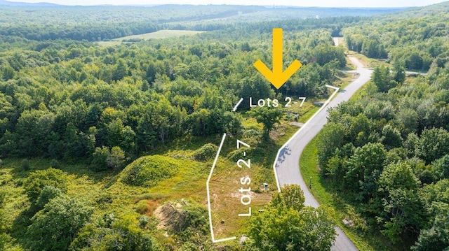 LOT3 Chase Ln, Lewiston, ME 04240 - aerial view of property and surrounding area featuring a forest and property parcel outlined
