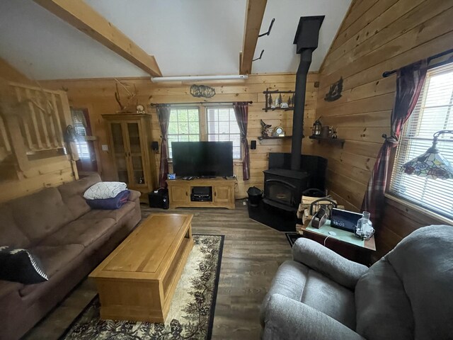 living room with wood walls, a healthy amount of sunlight, and a wood stove