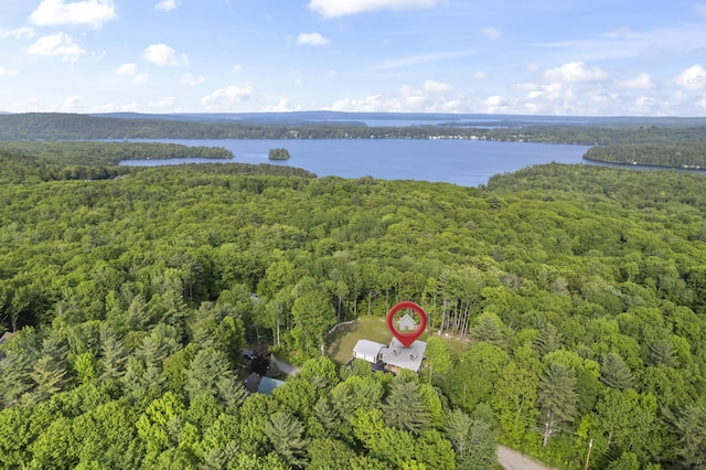 52 Birch Ests, Rome, ME 04963 - bird's eye view of a heavily wooded area and a nearby body of water