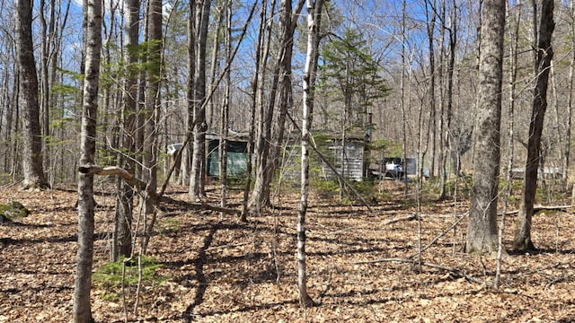 574 Half Township Rd, Lincoln, ME 04457 - view of landscape