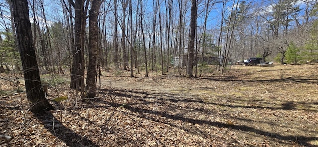 574 Half Township Rd, Lincoln, ME 04457 - view of local wilderness