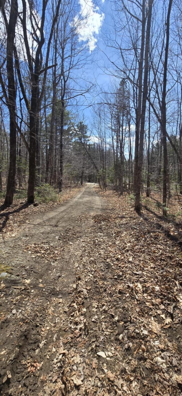 574 Half Township Rd, Lincoln, ME 04457 - view of nature