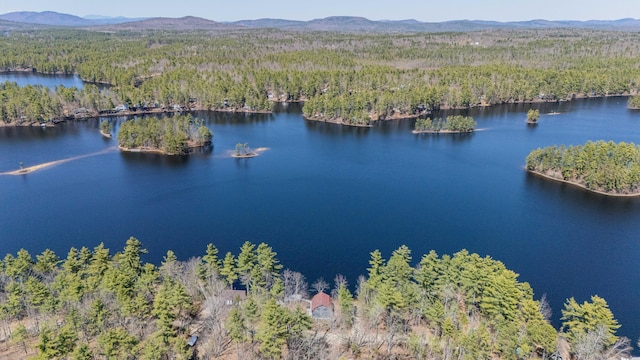 drone / aerial view featuring a forest view and a water and mountain view