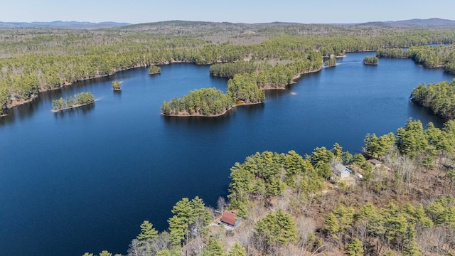 birds eye view of property featuring a water and mountain view and a wooded view