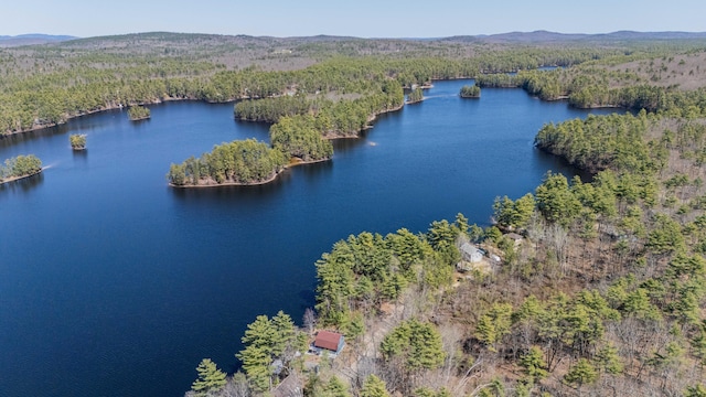 birds eye view of property with a wooded view and a water and mountain view