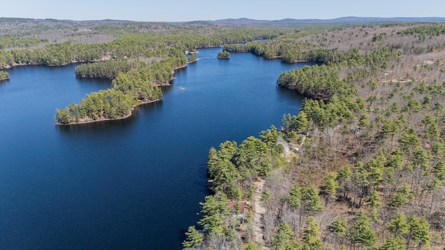 bird's eye view with a view of trees and a water and mountain view