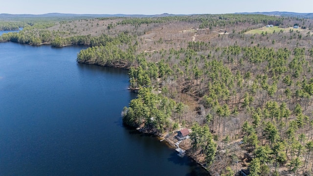drone / aerial view with a water view and a forest view