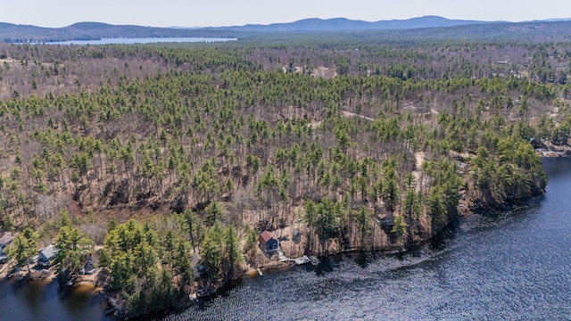 aerial view featuring a water and mountain view and a wooded view