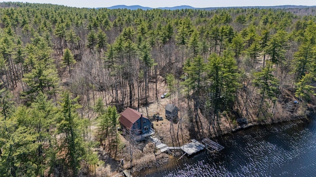 drone / aerial view with a forest view and a water view
