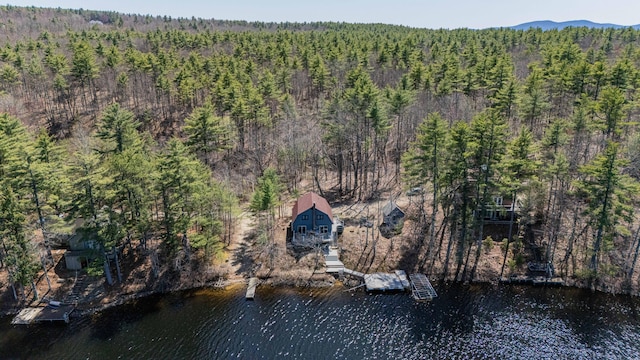 bird's eye view featuring a water view and a forest view