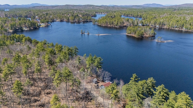 aerial view featuring a forest view and a water and mountain view
