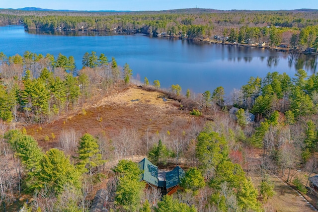 aerial view with a water view and a forest view