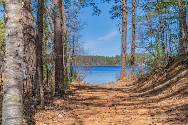 property view of water featuring a view of trees