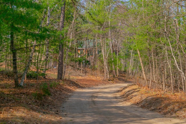 view of road with a view of trees
