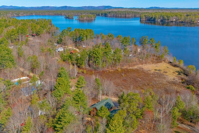 bird's eye view with a water and mountain view and a wooded view