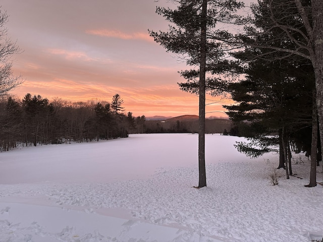 view of yard layered in snow