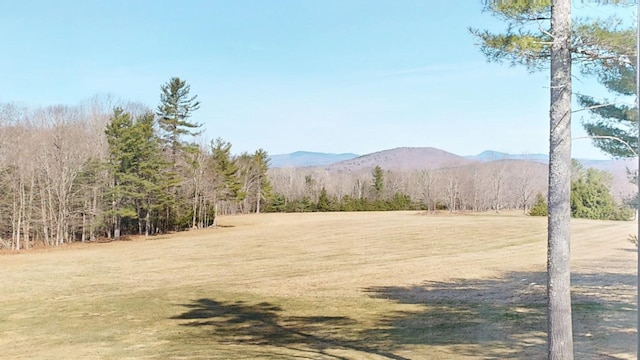 mountain view featuring a wooded view