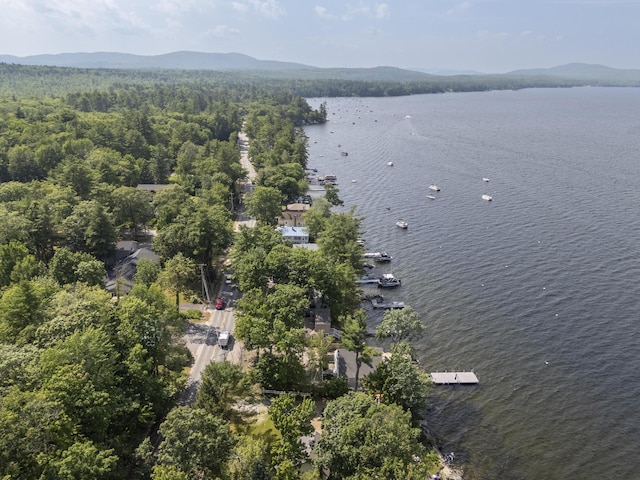 1485 Richville Rd, Standish, ME 04084 - bird's eye view of a water and mountain view