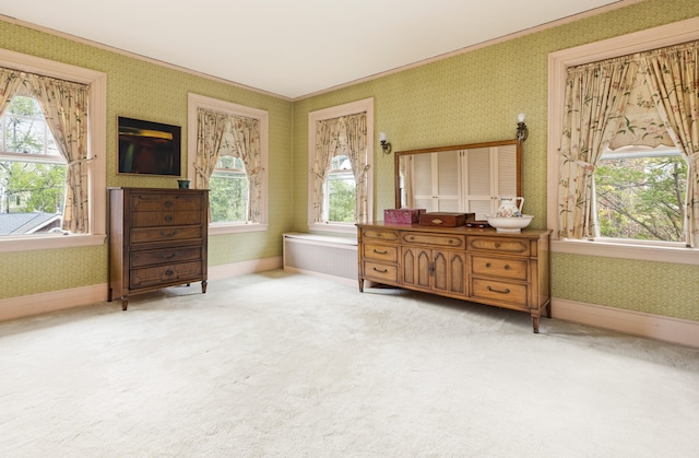 70 Carroll St, Portland, ME 04102 - bedroom featuring wallpapered walls, carpet floors, and crown molding