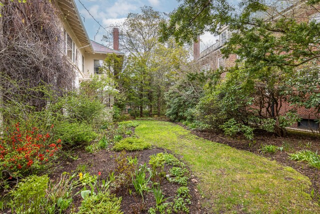 70 Carroll St, Portland, ME 04102 - view of yard