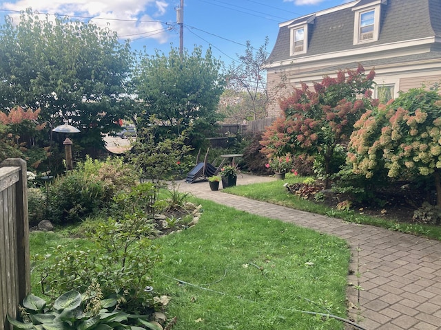 105 N St Unit 3, Portland, ME 04101 - view of yard