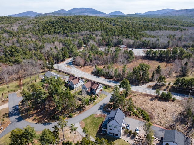 3 Bogue Chitto Ln Unit 1, Bar Harbor, ME 04609 - birds eye view of property with a mountain view and a forest view