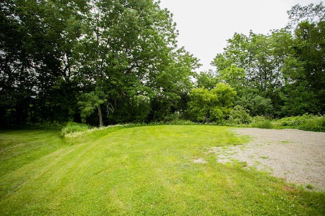 16 Main St, Bradley, ME 04411 - view of green lawn
