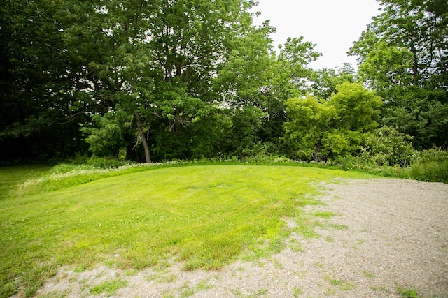 16 Main St, Bradley, ME 04411 - view of green lawn