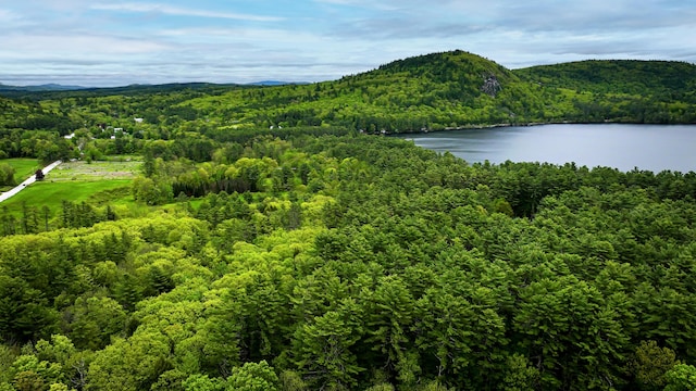 29 Bear Pond Rd, Waterford, ME 04088 - drone / aerial view of a forest and a water and mountain view