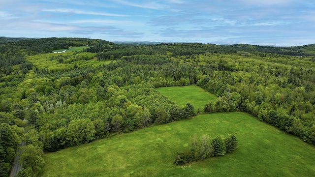 29 Bear Pond Rd, Waterford, ME 04088 - bird's eye view of a forest