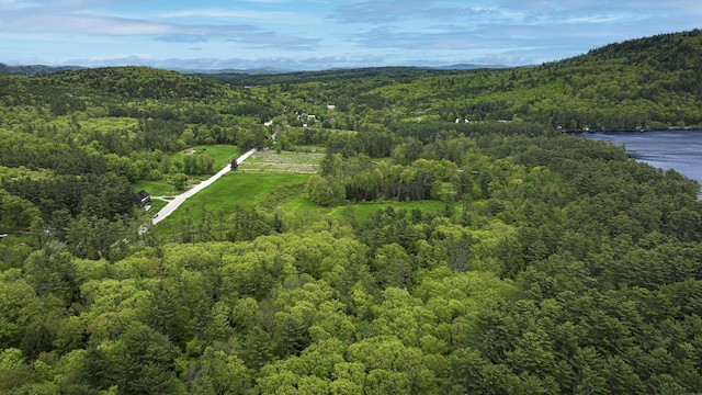29 Bear Pond Rd, Waterford, ME 04088 - aerial overview of property's location with a forest and a water and mountain view