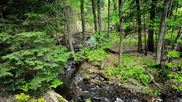 29 Bear Pond Rd, Waterford, ME 04088 - view of local wilderness