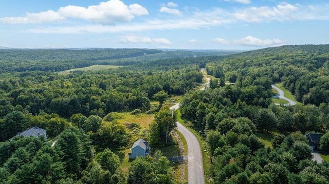 LOT5 Chase Ln, Lewiston, ME 04240 - aerial view of a heavily wooded area