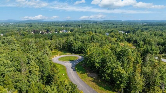 LOT5 Chase Ln, Lewiston, ME 04240 - bird's eye view of a forest